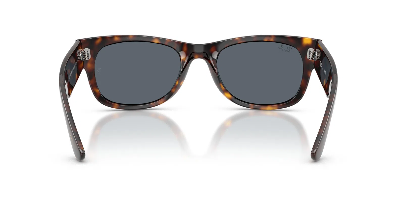 Ray-Ban Mega Wayfarer Ii 0832SF Sunglasses - view 27